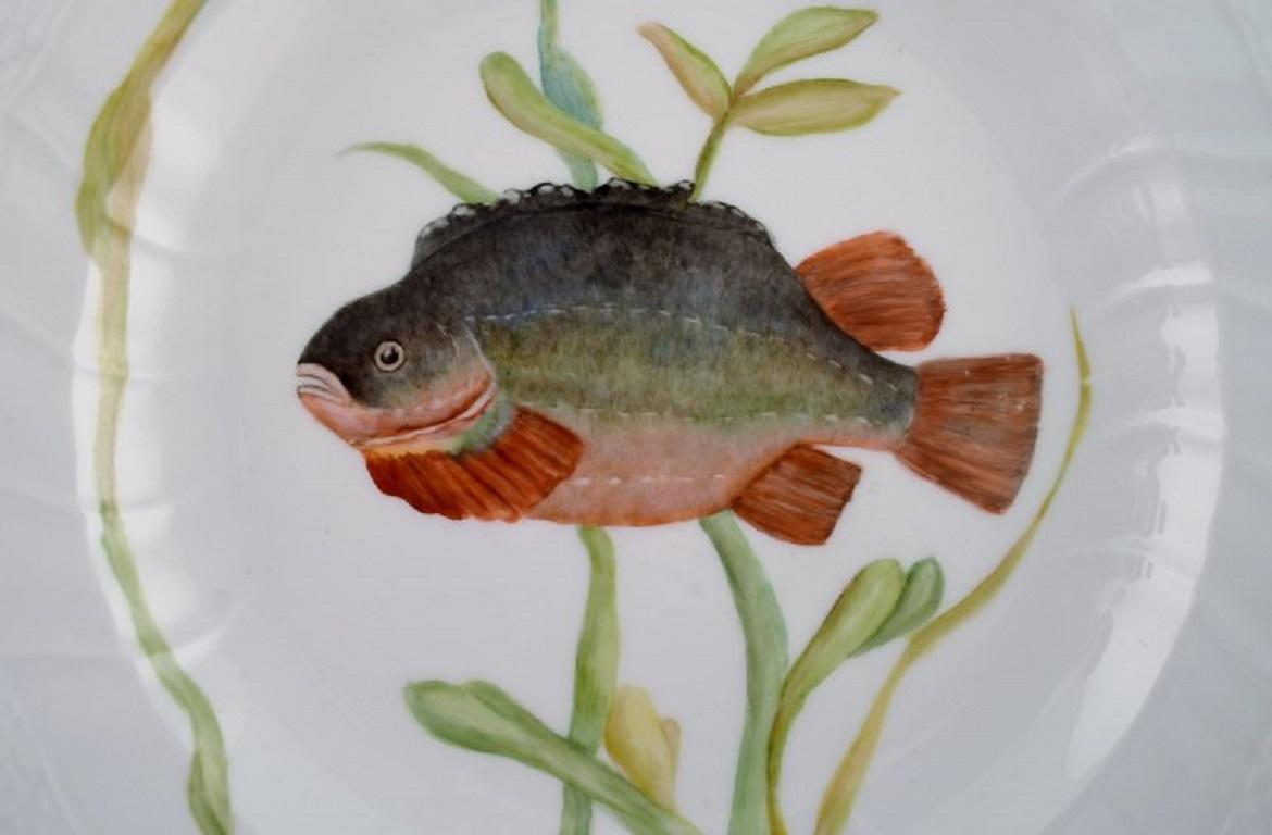 Royal Copenhagen porcelain dinner plate with hand-painted fish motif and golden border. Flora / Fauna Danica style. Dated 1968.
Measure: diameter: 25.5 cm.
In excellent condition.
Stamped.
3rd Factory quality.