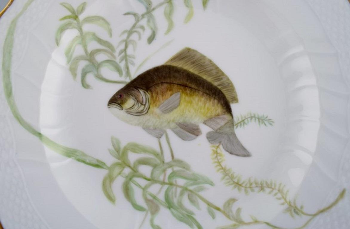 Royal Copenhagen porcelain dinner plate with hand-painted fish motif and golden border. Flora / Fauna Danica style. Dated 1960.
Diameter: 25.5 cm.
In excellent condition.
Stamped.
3rd factory quality.