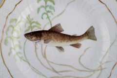 Royal Copenhagen porcelain dinner plate with hand-painted fish motif