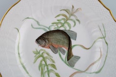 Royal Copenhagen Porcelain Dinner Plate with Hand-Painted Fish Motif