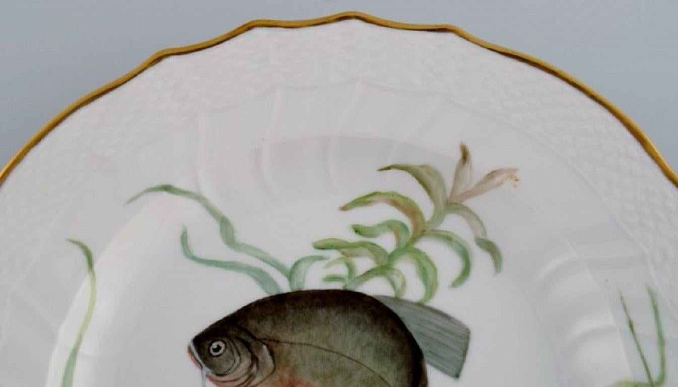 Royal Copenhagen-Porzellan-Essteller mit handbemaltem Fischmotiv (Handbemalt) im Angebot