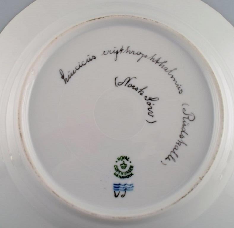 Mid-20th Century Royal Copenhagen Porcelain Dinner Plate with Hand-Painted Fish Motif For Sale