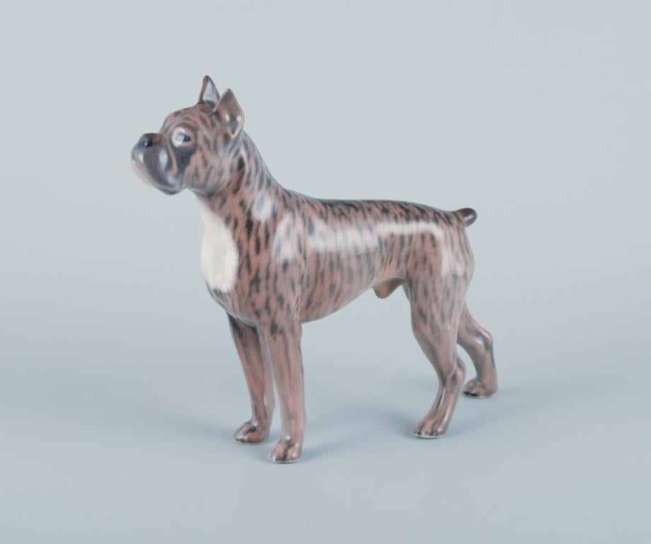 Royal Copenhagen, porcelain dog, standing boxer.
Design by Holger Christensen (1890-1966).
Model number 3634.
Mid-20th century.
First factory quality.
Perfect condition.
Marked.
Dimensions: Length 16.0 cm x Height 14.0 cm.