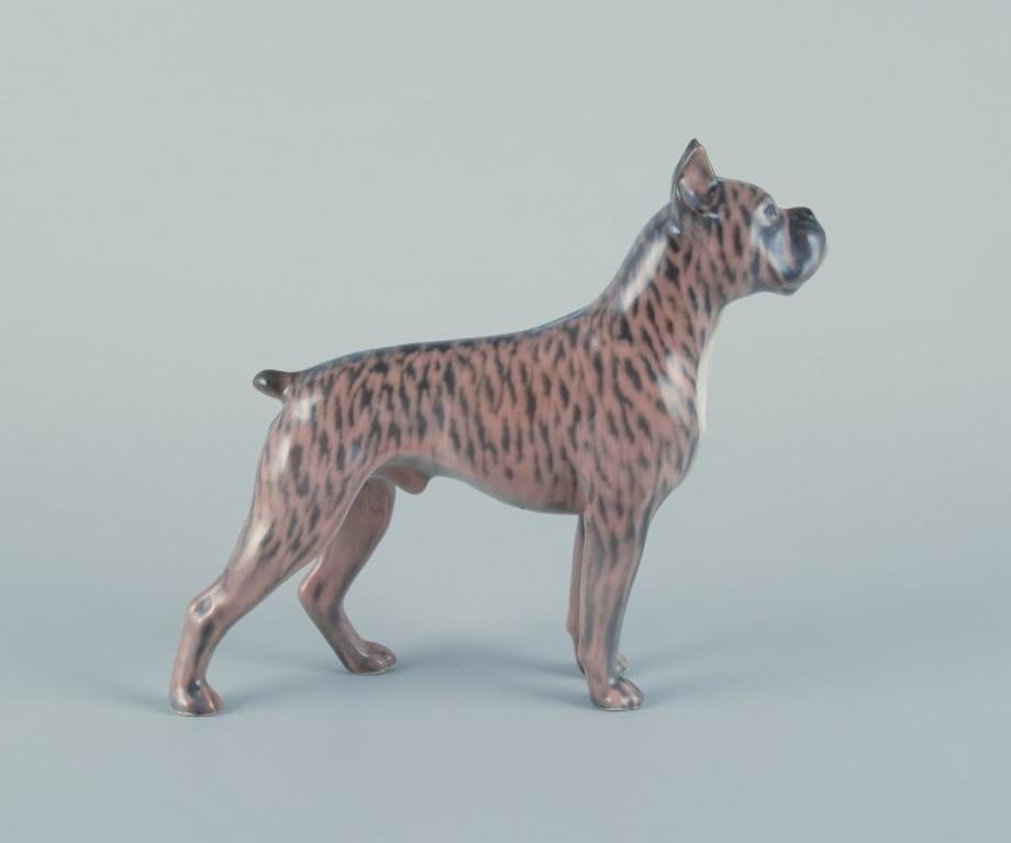 20th Century Royal Copenhagen, porcelain dog, standing boxer. Design by Holger Christensen For Sale