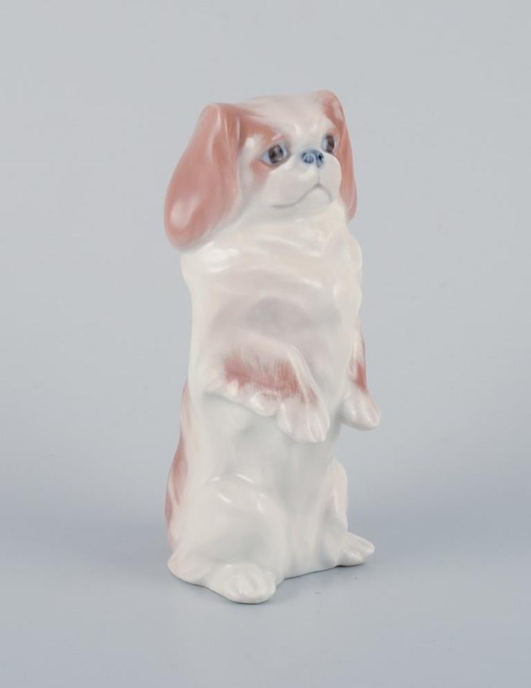 Royal Copenhagen, porcelain figure of a standing Pekingese dog.
Model 1776.
1930s.
Marked.
First factory quality.
In excellent condition.
Dimensions: H 12.5 cm x D 5.5 cm.