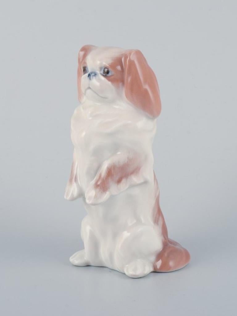 Danish Royal Copenhagen, porcelain figure of a standing Pekingese dog. 