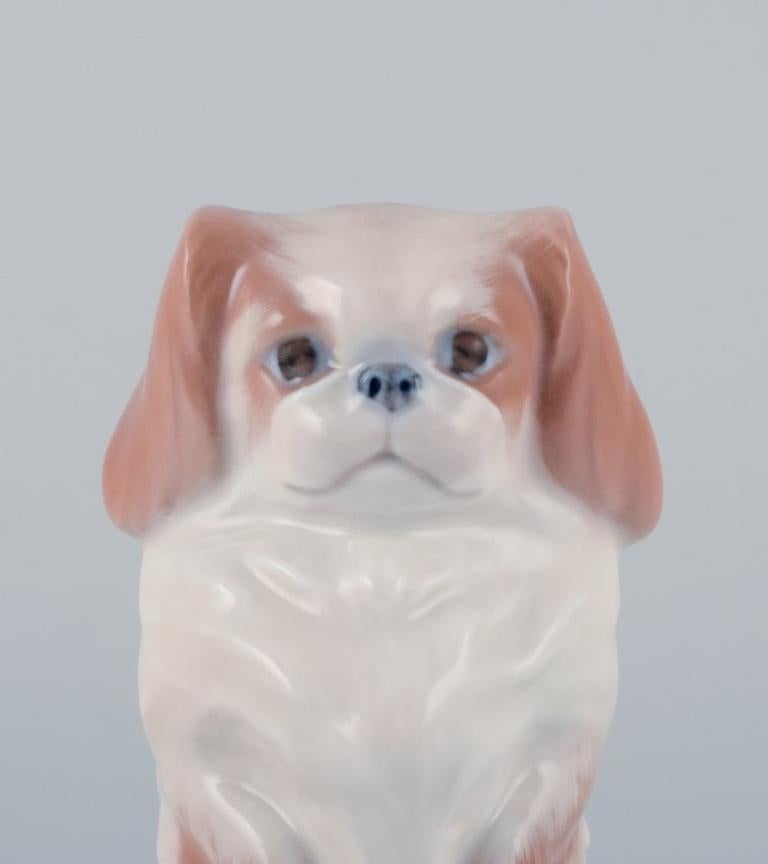 Mid-20th Century Royal Copenhagen, porcelain figure of a standing Pekingese dog. 