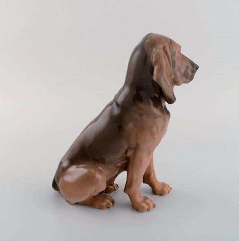 bloodhound weiner dog