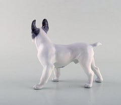 Royal Copenhagen Porcelain Figurine, Boston Terrier, Model Number 1457
