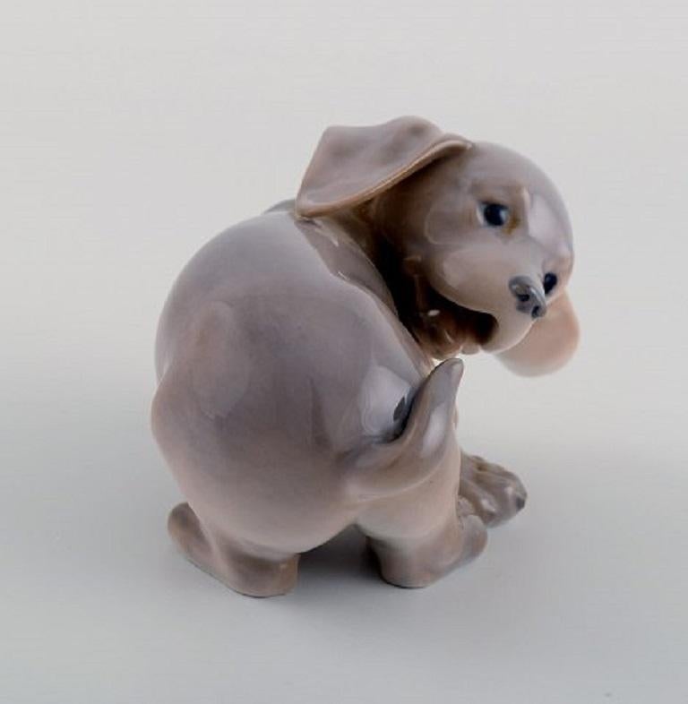 Royal Copenhagen porcelain figurine. Dachshund puppy, 1920s. Model number 1238/1408.
Measures: 11 x 7.7 cm.
In excellent condition.
Stamped.
1st factory quality.
