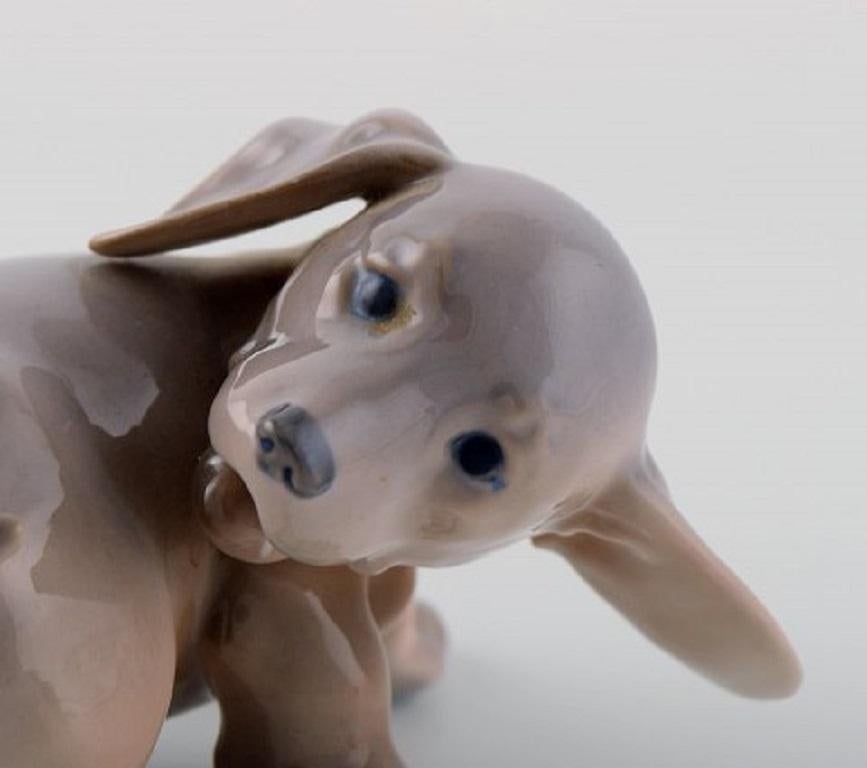Danish Royal Copenhagen Porcelain Figurine, Dachshund Puppy, 1920s For Sale