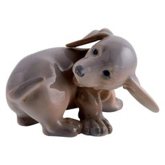 Royal Copenhagen Porcelain Figurine, Dachshund Puppy, 1920s