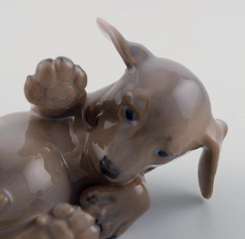 Vernissé Figurine en porcelaine Royal Copenhagen, Chiot Dachshund Puppy, datée de 1956 en vente