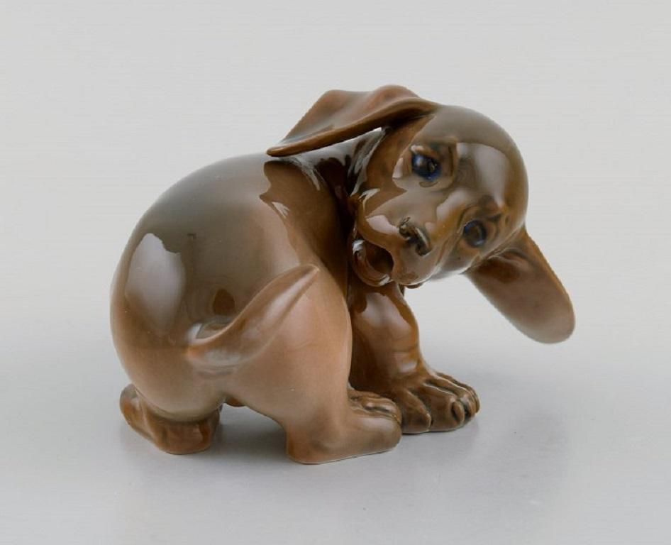 Royal Copenhagen porcelain figurine. Dachshund puppy. Model number 1407.
Measures: 11 x 7.5 cm.
In excellent condition.
Stamped.
1st factory quality.
