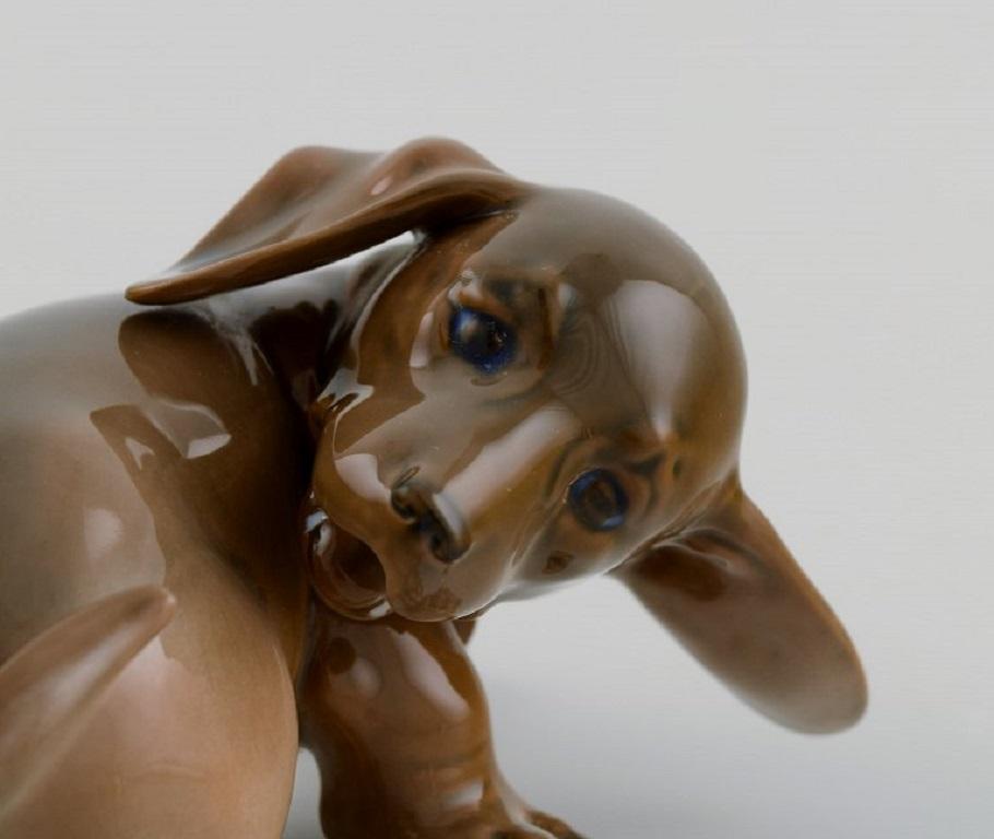 20ième siècle Figurine en porcelaine Royal Copenhagen, Chien de Dachshund Puppy, numéro de modèle 1407 en vente