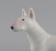 Royal Copenhagen Porcelain Figurine, English Bull Terrier, Dated 1957