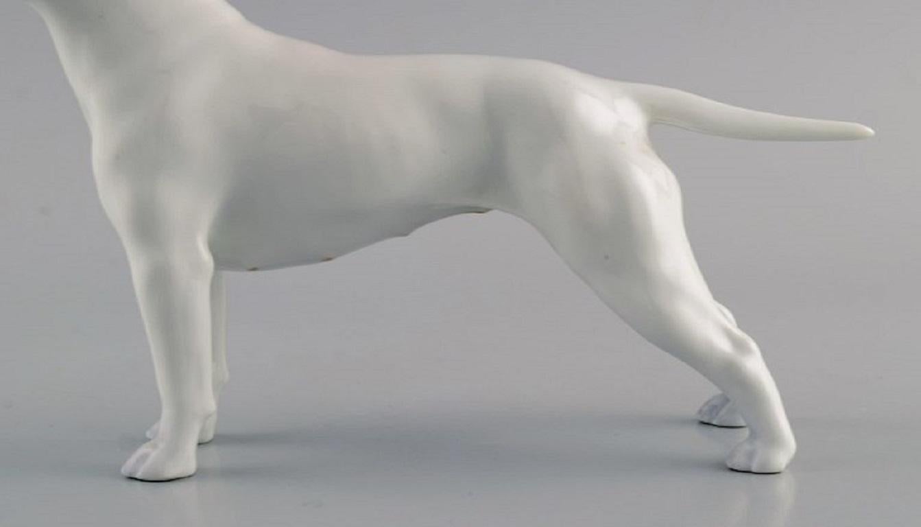 Modern Royal Copenhagen Porcelain Figurine, English Bull Terrier, Dated 1957