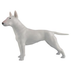 Royal Copenhagen Porcelain Figurine, English Bull Terrier, Dated 1957