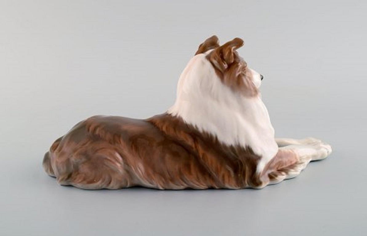 Danish Royal Copenhagen Porcelain Figurine, Lying Collie, 1920s