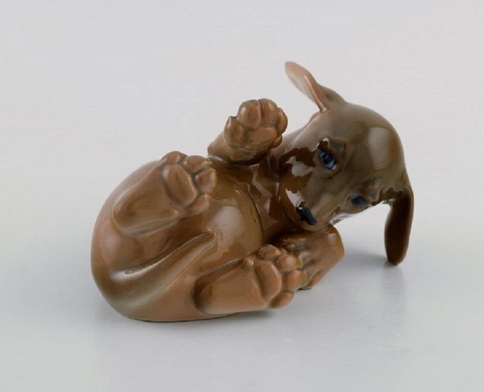 Royal Copenhagen porcelain figurine. Lying dachshund. Model number 1408. 
Dated 1964.
Measures: 11.5 x 6.5 cm.
In excellent condition.
Stamped.
1st factory quality.