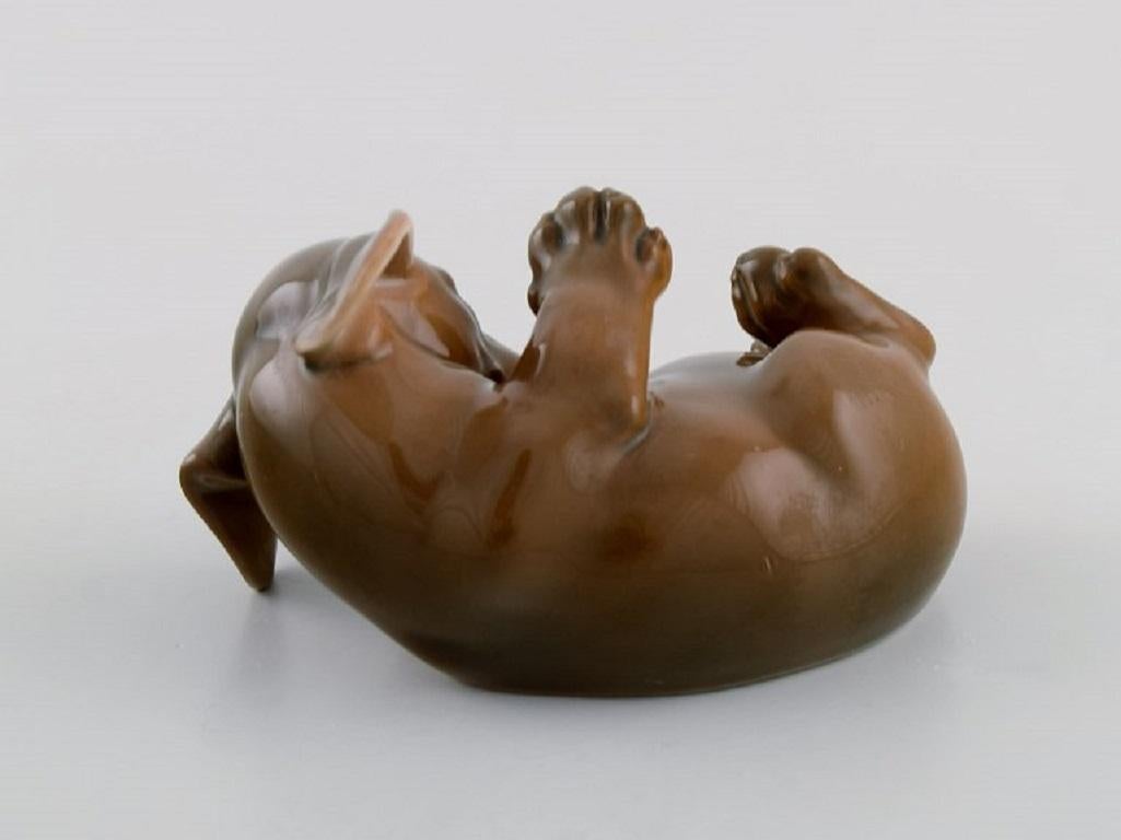 Danish Royal Copenhagen Porcelain Figurine, Lying Dachshund, 1964 For Sale