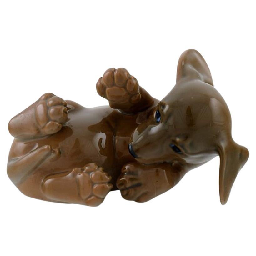 Figurine en porcelaine royale de Copenhague, Chien de Lying Dachshund, 1964 en vente