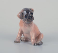 Royal Copenhagen, figurine en porcelaine d'un chiot de boxe. Vers 1930