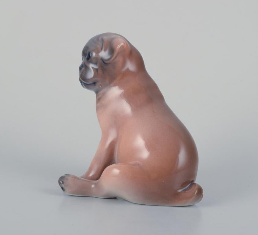Danish Royal Copenhagen, porcelain figurine of a boxer puppy. Ca 1930 For Sale