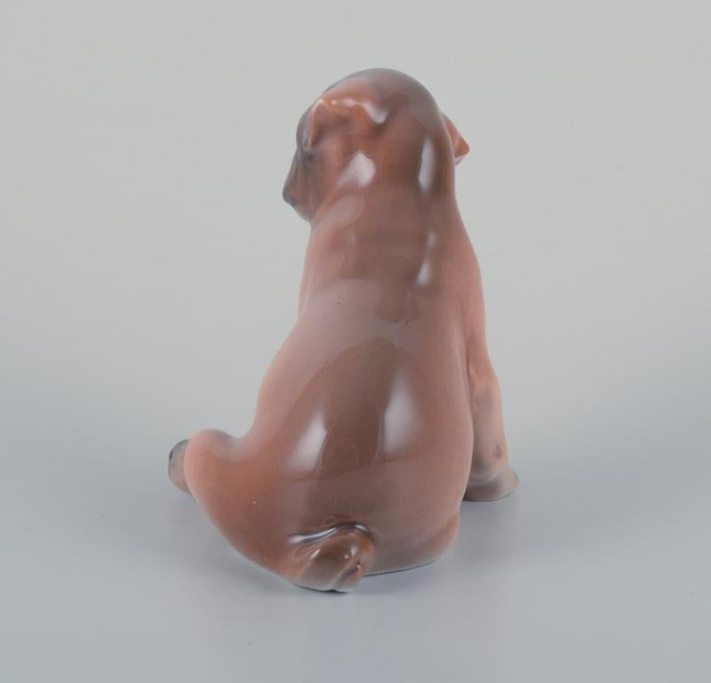 Mid-20th Century Royal Copenhagen, porcelain figurine of a boxer puppy. Ca 1930 For Sale