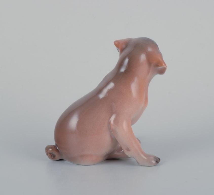 Porcelain Royal Copenhagen, porcelain figurine of a boxer puppy. Ca 1930 For Sale
