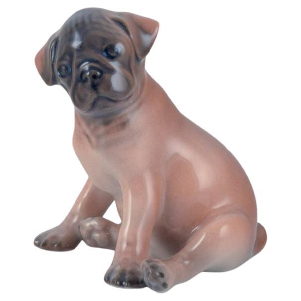 Royal Copenhagen, porcelain figurine of a boxer puppy. Ca 1930 For Sale