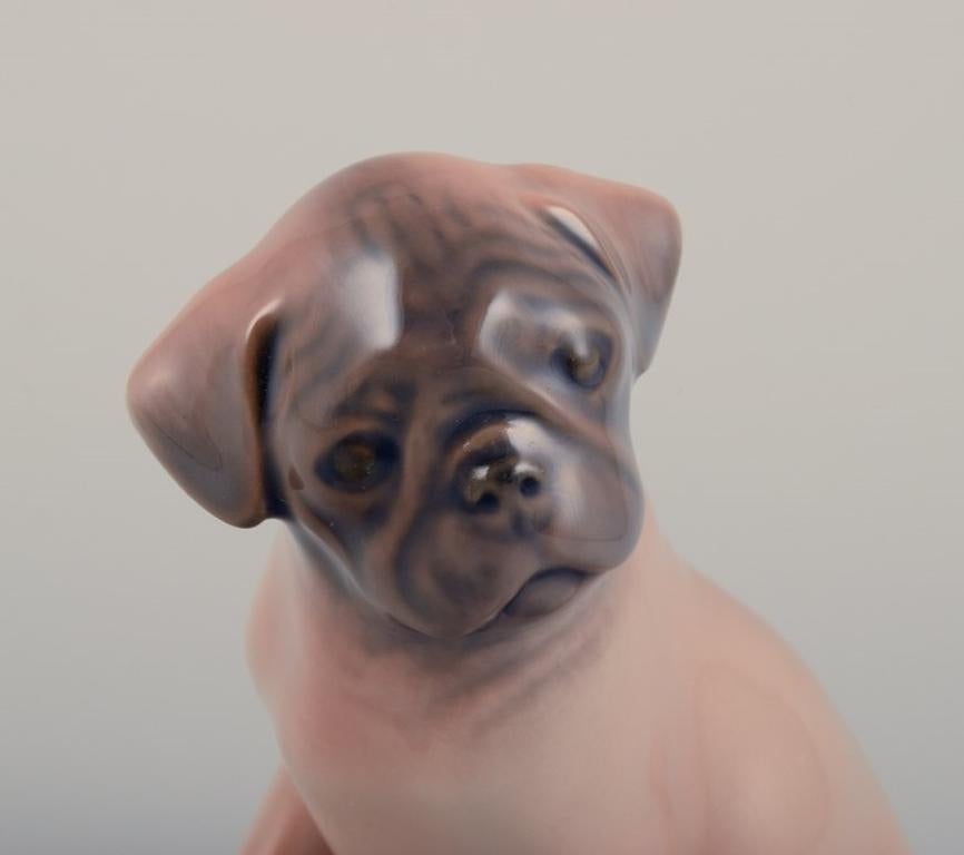 Porcelain Royal Copenhagen, porcelain figurine of a Boxer puppy. Ca 1930s For Sale