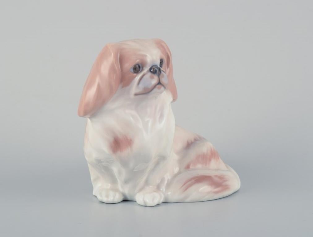 Royal Copenhagen porcelain figurine of a Pekingese dog.
Model 1772.
1930s.
Marked.
First factory quality.
In excellent condition.
Dimensions: H 12.0 cm x L 15.3 cm.