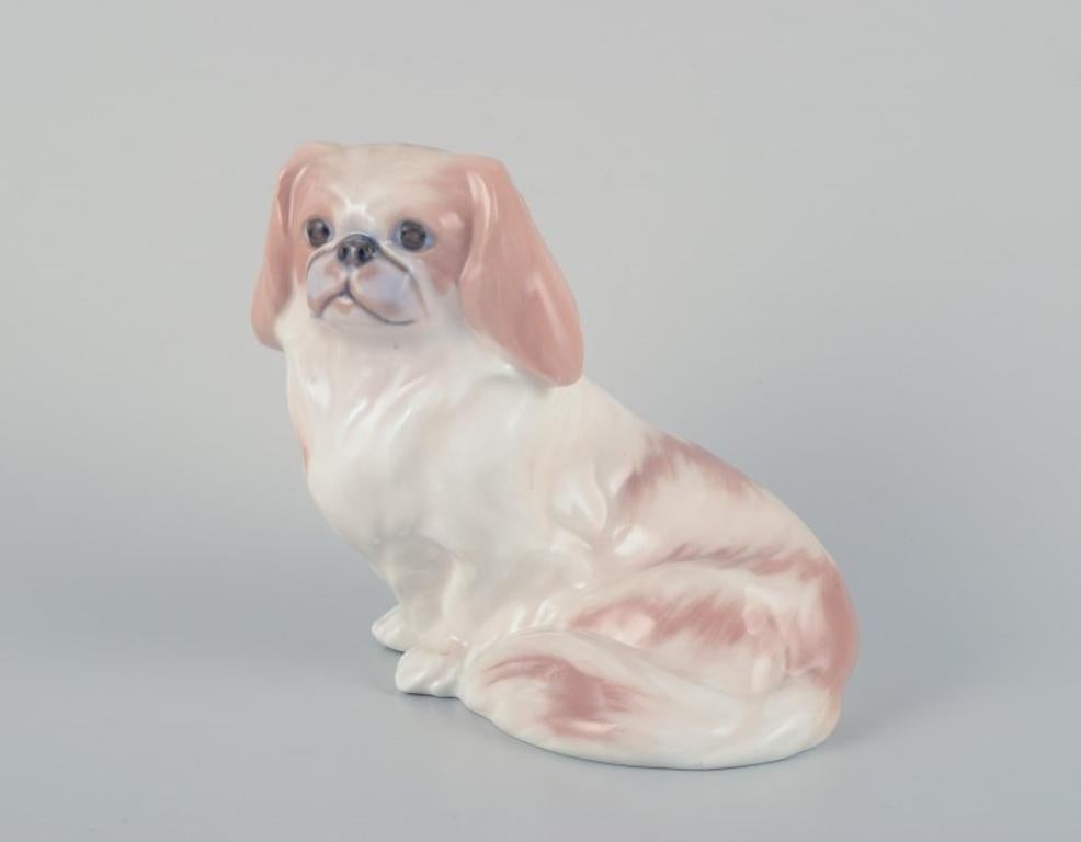 Danish Royal Copenhagen porcelain figurine of a Pekingese dog. For Sale