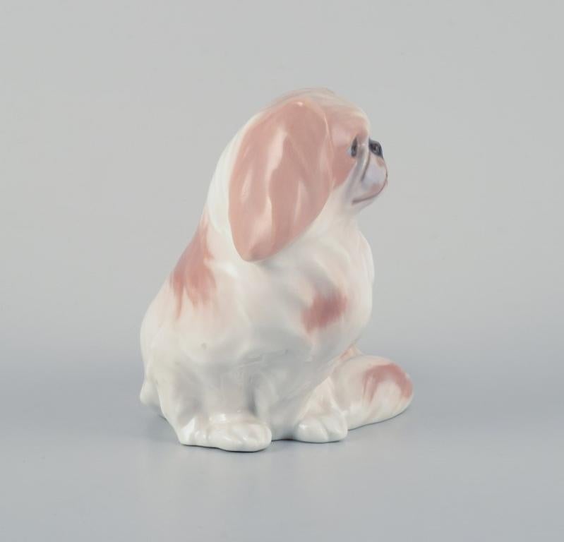 Glazed Royal Copenhagen porcelain figurine of a Pekingese dog. For Sale