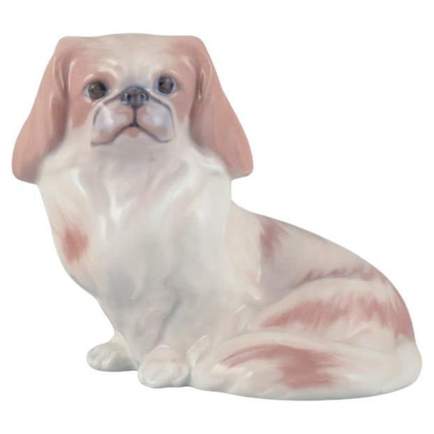 Figurine en porcelaine de Royal Copenhagen représentant un chien pékinois.