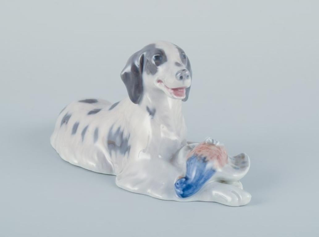 Danish Royal Copenhagen, porcelain figurine of a setter with pheasant. For Sale