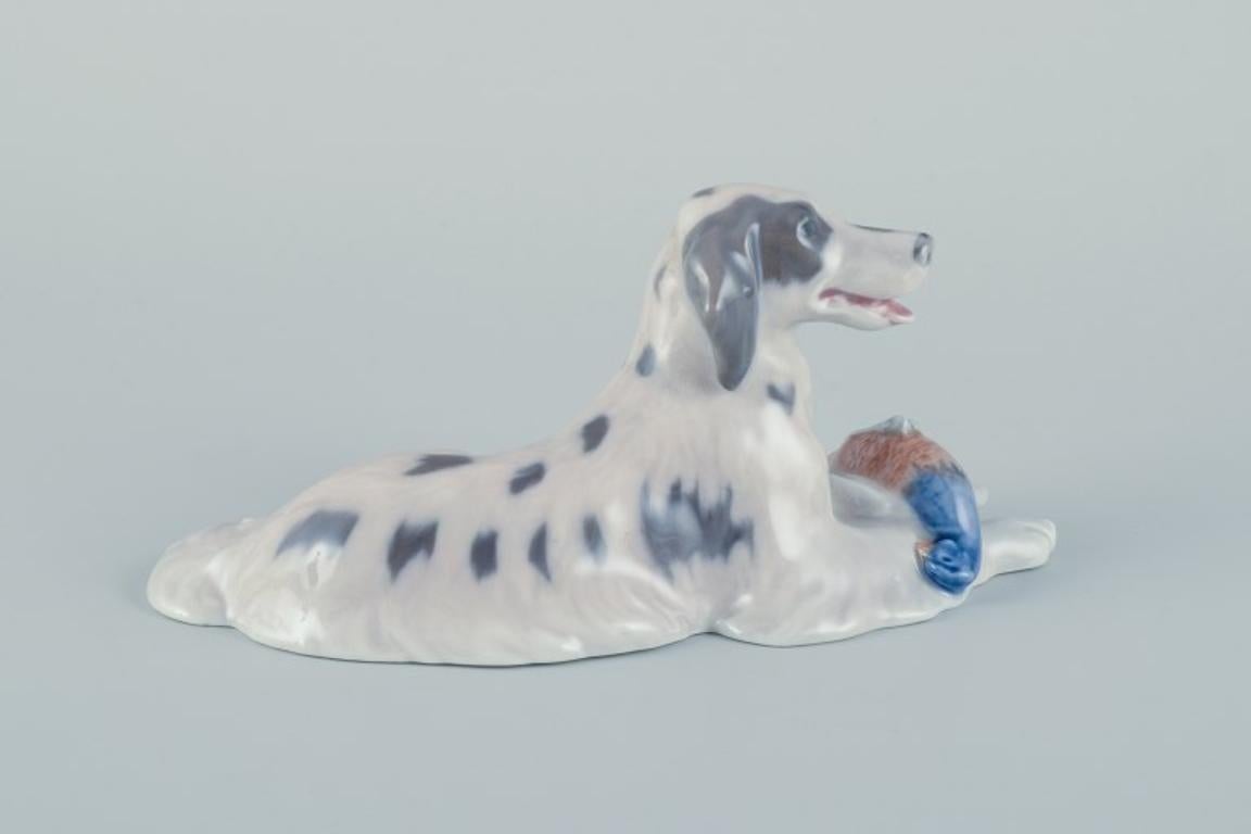 Glazed Royal Copenhagen, porcelain figurine of a setter with pheasant. For Sale