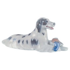 Royal Copenhagen, porcelain figurine of a setter with pheasant.