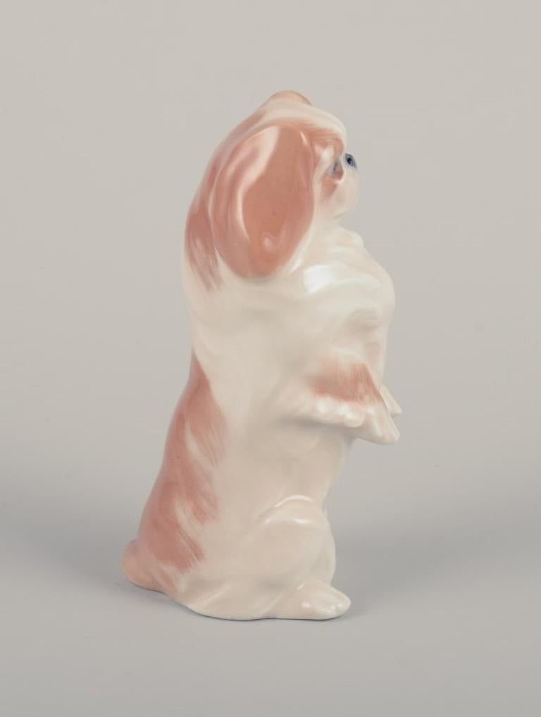 Royal Copenhagen, porcelain figurine of a standing Pekingese.
Model 1776.
Dating: 1969-1974.
Marked.
Perfect condition.
First factory quality.
Dimensions: H 12.0 cm x D 6.0 cm.