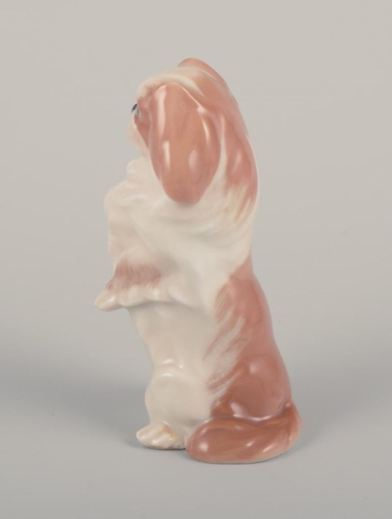 Danish Royal Copenhagen, porcelain figurine of a standing Pekingese.