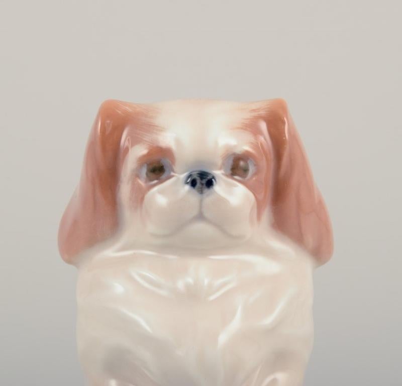 Porcelain Royal Copenhagen, porcelain figurine of a standing Pekingese.