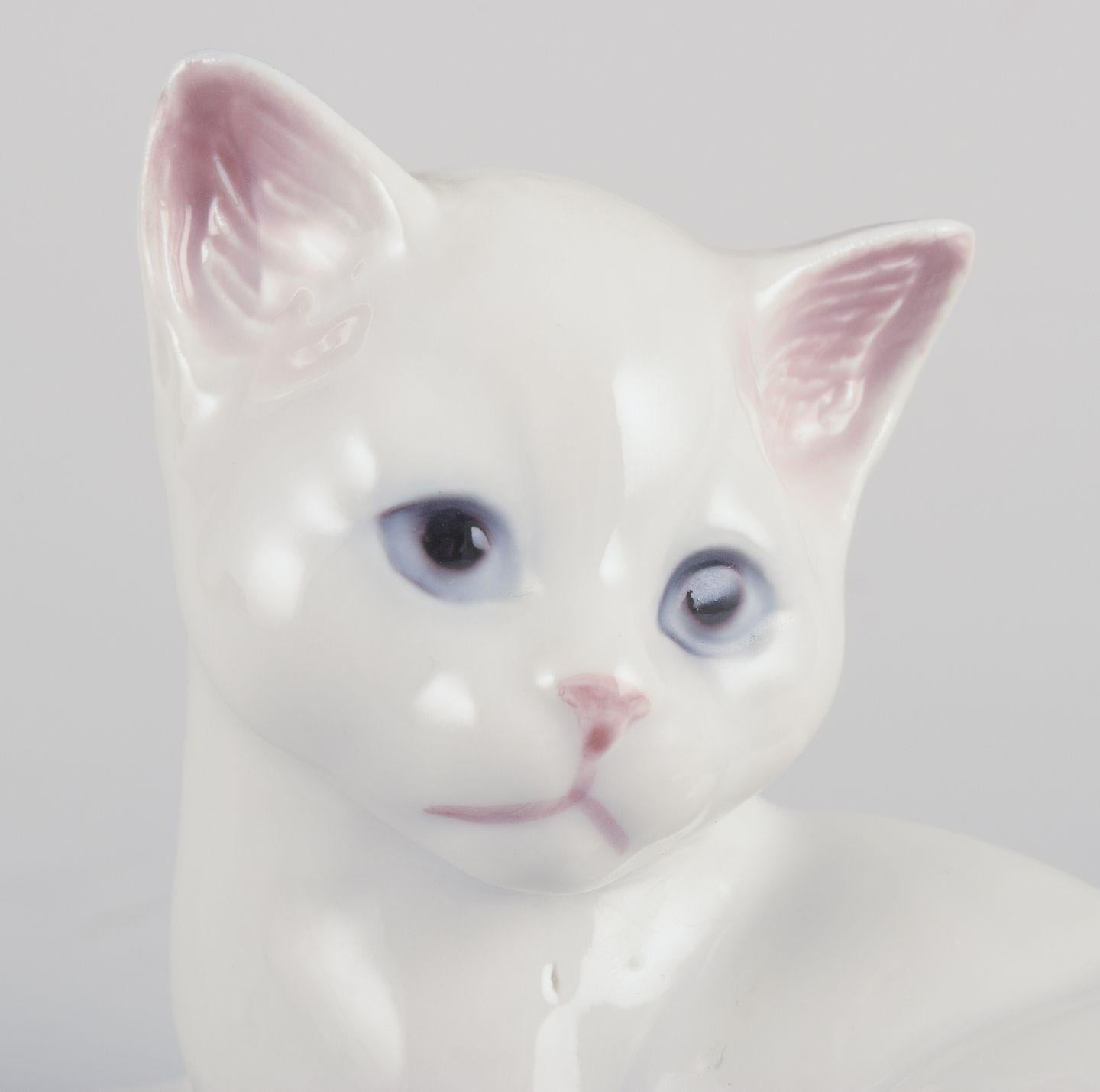Smaltato Royal Copenhagen. Statuetta in porcellana di un gattino bianco. in vendita