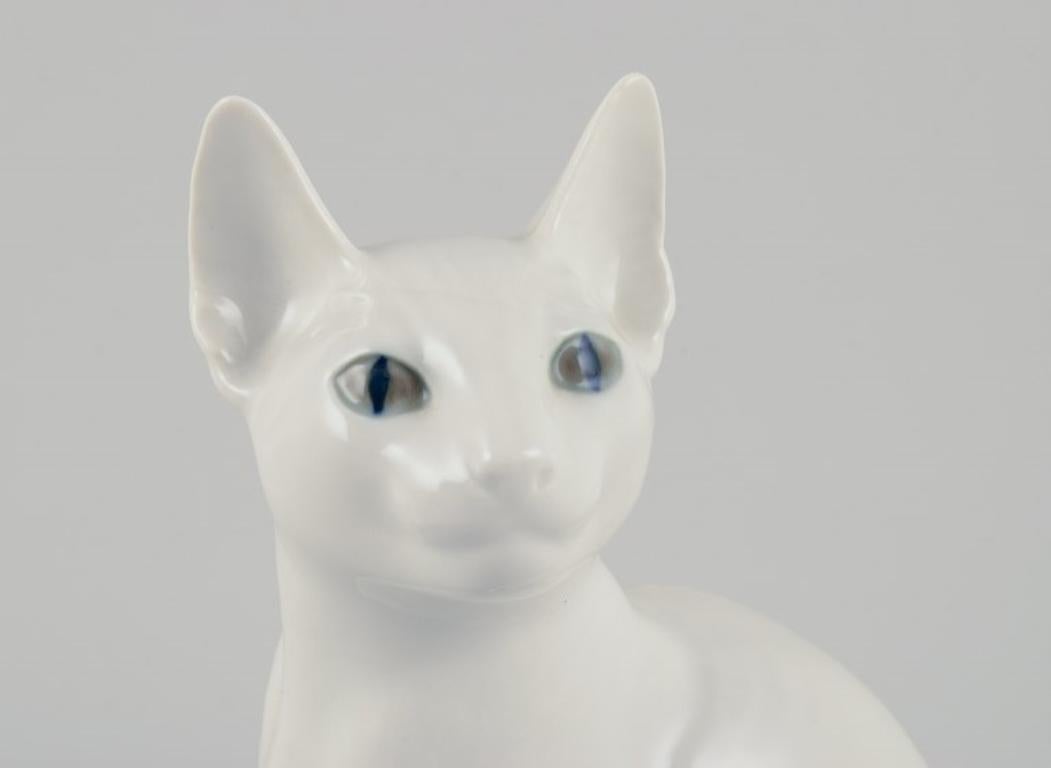 Royal Copenhagen. Porcelain figurine of a white Siamese cat.  For Sale 2