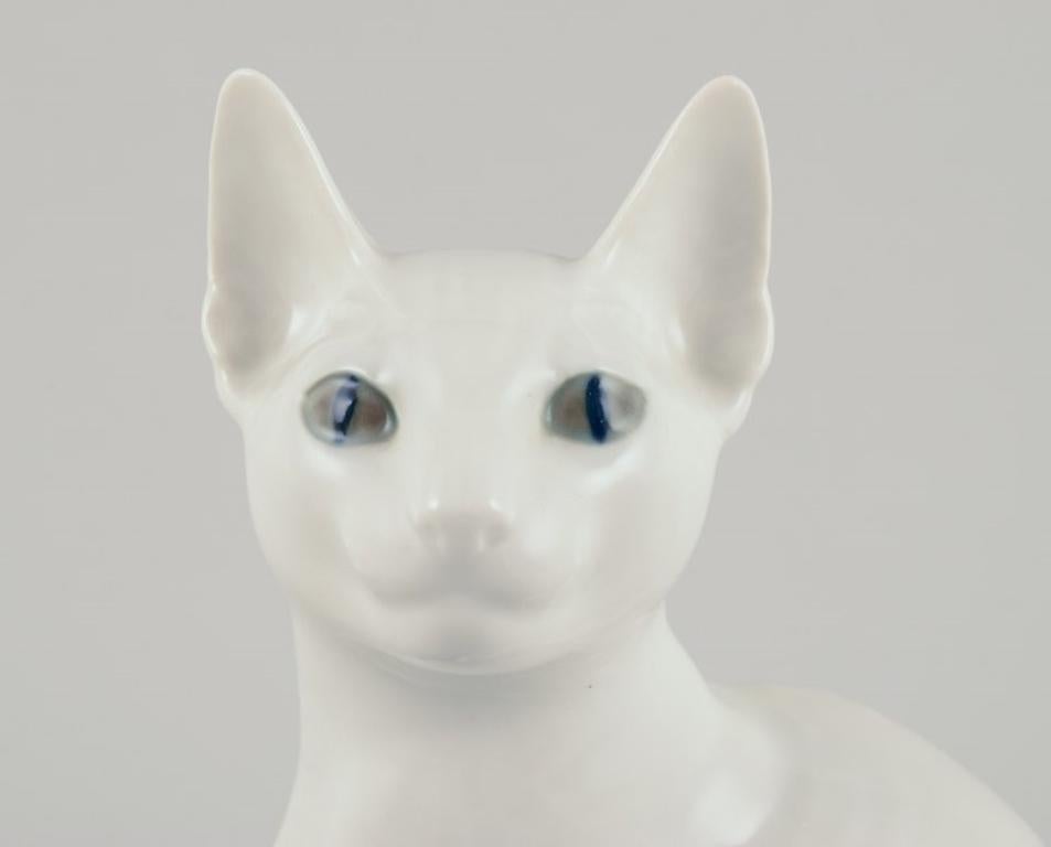 Royal Copenhagen. Porcelain figurine of a white Siamese cat.  For Sale 3