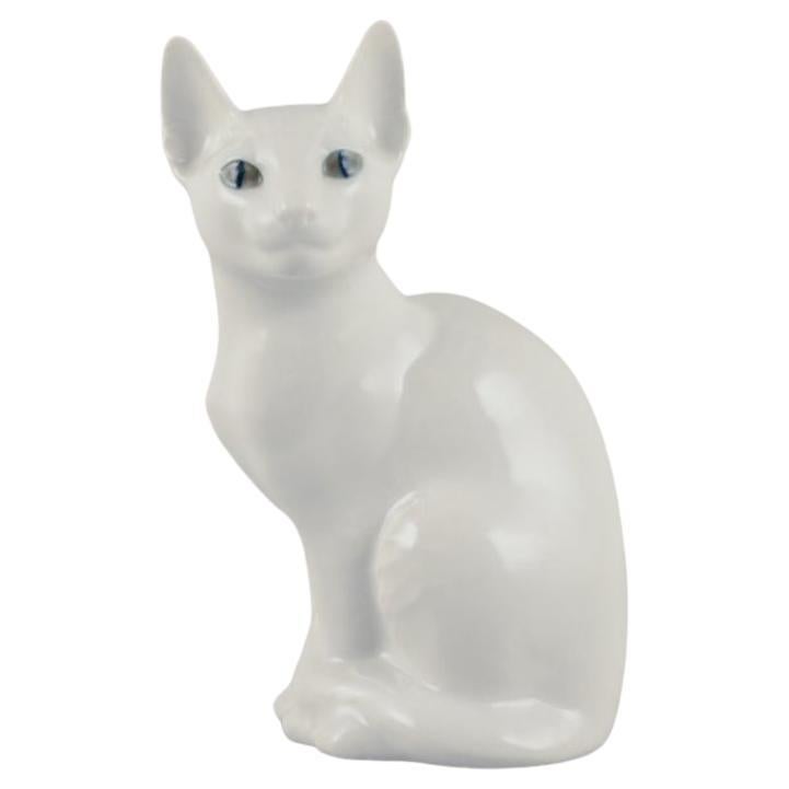 Königliches Kopenhagen. Porzellanfigur einer weißen sizilianischen Katze aus Porzellan.  im Angebot