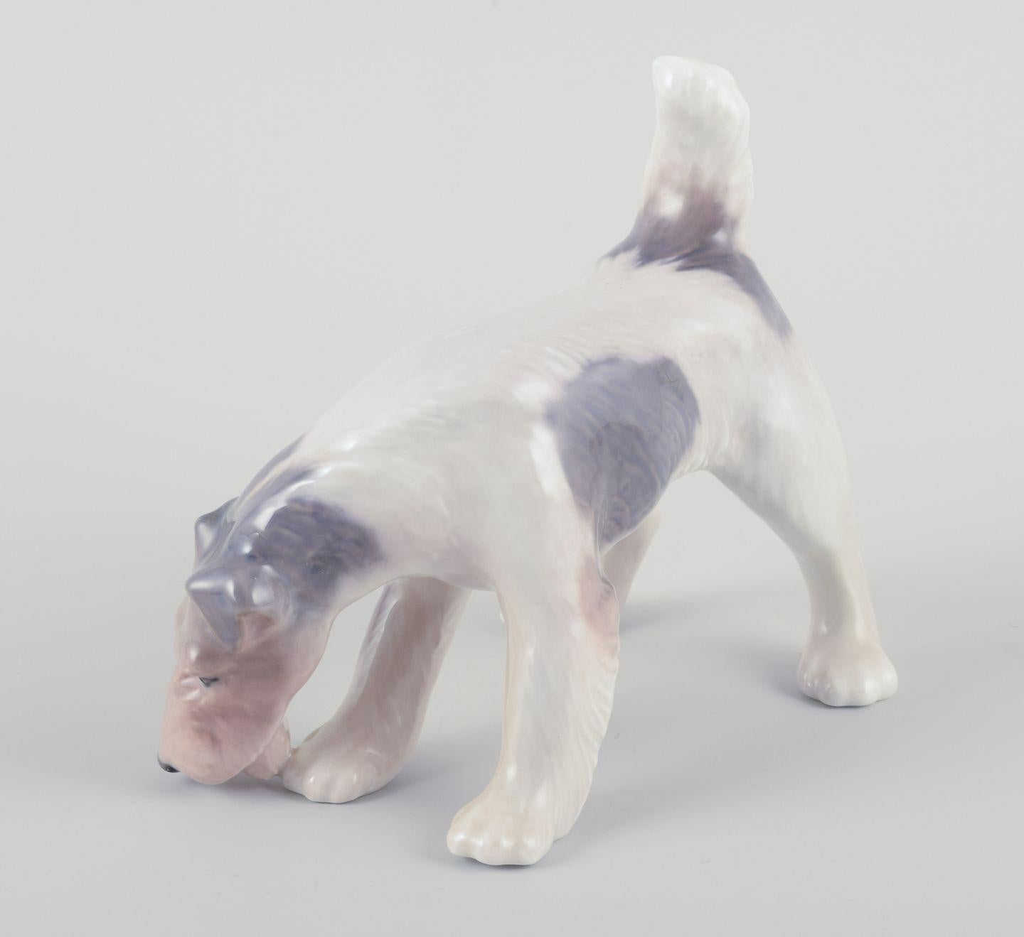 LES PRODUITS D'OCCASION SONT EXEMPTS DE DROITS DE DOUANE POUR LES CLIENTS DES ETATS-UNIS, DU ROYAUME-UNI, DE L'AUSTRALIE ET DU CANADA.   
PAR CONSÉQUENT, AUCUN DROIT D'IMPORTATION NE SERA APPLICABLE À VOTRE ACHAT. 

Royal Copenhagen, figurine en