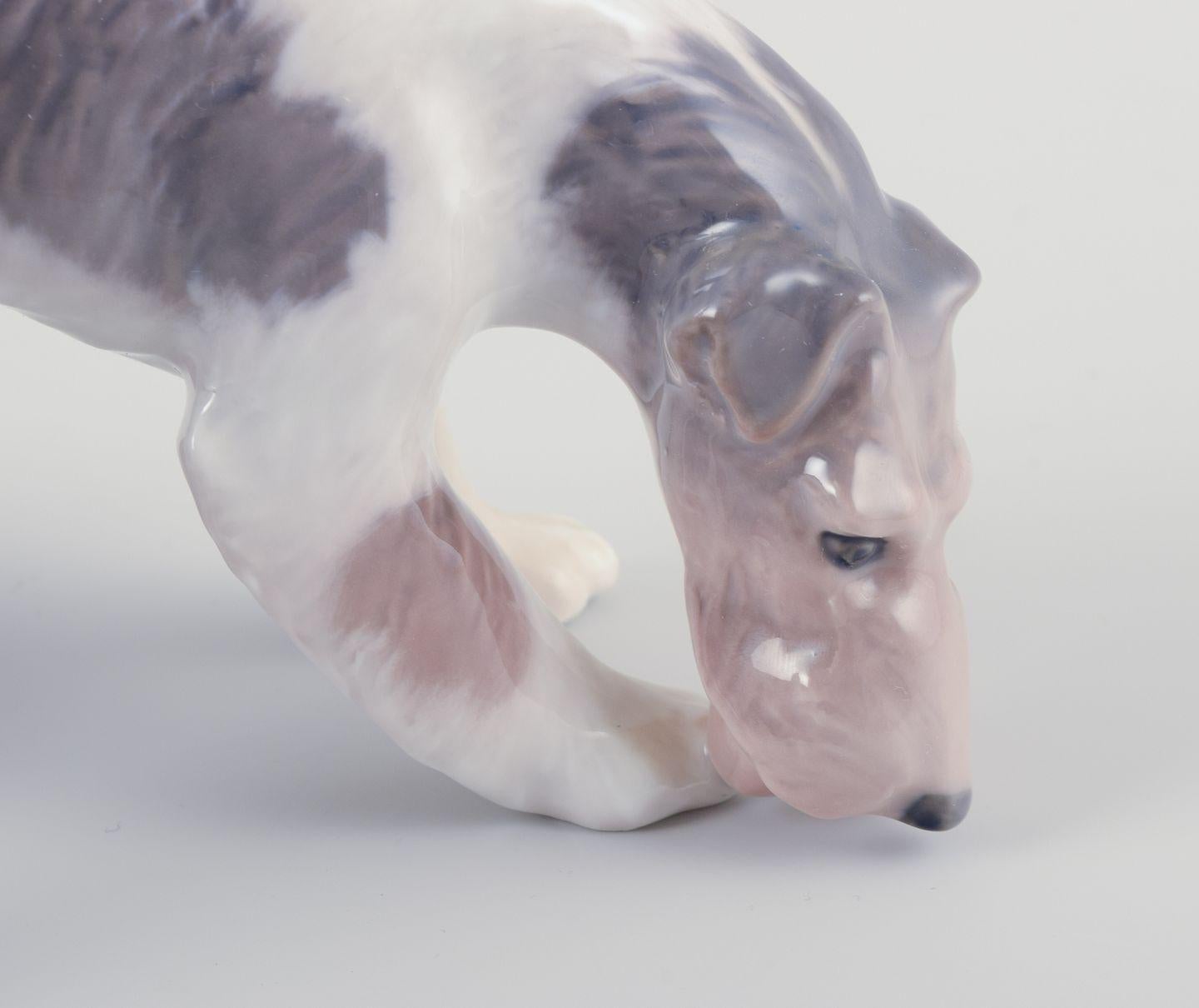 Danois Royal Copenhagen, figurine en porcelaine d'un Fox Terrier à poil dur. Ca. 1930s en vente