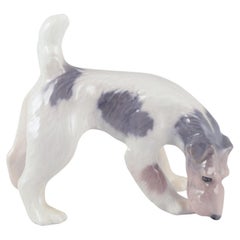 Royal Copenhagen, porcelain figurine of a Wire Fox Terrier. Ca. 1930s