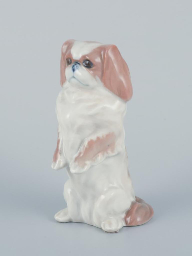 Royal Copenhagen, porcelain figurine of standing Pekingese dog.
Model 1776.
Marked.
Dated 1979-83.
In perfect condition.
First factory quality.
Dimensions: Height 12.0 cm x Diameter 6.0 cm.
